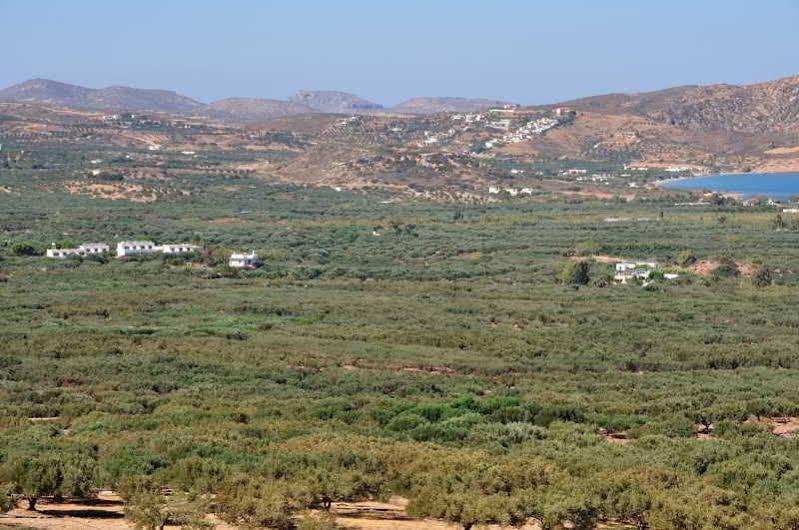 Hotel Marina Village Sitia  Bagian luar foto